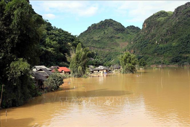 Sau trận mưa lớn, đường giao thông, diện tích trồng lúa, hoa màu của nhân dân bản Phé, xã Tông Cọ bị chìm trong biển nước. Ảnh: Quang Quyết - TTXVN