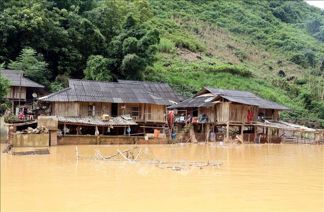 Nhiều ngôi nhà tại bản Phé, xã Tông Cọ bị ngập sâu sau trận mưa lớn. Ảnh: Quang Quyết - TTXVN