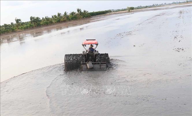 Đồng Tháp đưa cơ giới vào làm đất sản xuất lúa Thu Đông 2024 tại xã Tân Phú, huyện Thanh Bình ( Đồng Tháp). Ảnh: Nguyễn Văn Trí - TTXVN