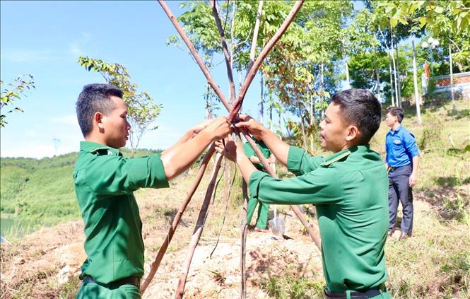 Quảng Bình phát động Trồng cây xanh chống sạt lở đất tạo cảnh quan