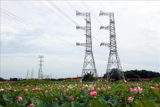 Tuyến đường dây 500kV đoạn Nhà máy nhiệt điện Nam Định 1 – Thanh Hóa qua địa phận huyện Hậu Lộc (Thanh Hóa) hoàn thành ngày 30/6/2024. Ảnh: Huy Hùng - TTXVN