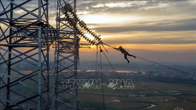 Công nhân nhà thầu Công ty CP Tư vấn đầu tư và Xây lắp Điện 5 (PCC5) thi công kéo dây trong ánh hoàng hôn tại vị trí cột 181 tuyến đường dây Nhà máy nhiệt điện Nam Định 1 - Phố Nối trên địa bàn huyện Hưng Hà (Thái Bình). Ảnh: Huy Hùng - TTXVN