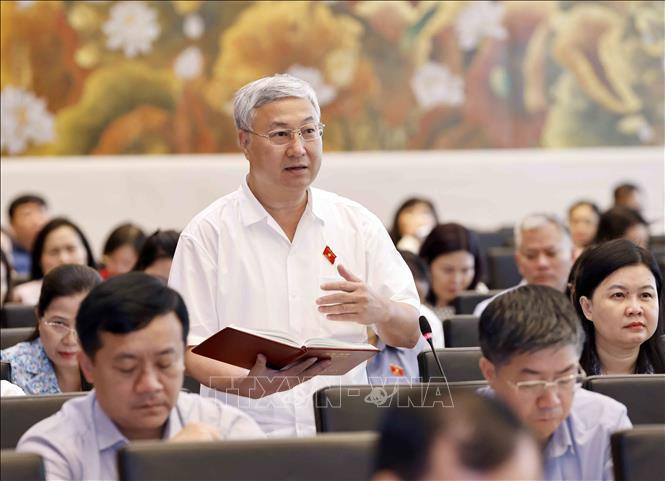 Đại biểu Quốc hội tỉnh Bắc Giang Trần Văn Lâm phát biểu. Ảnh: Doãn Tấn - TTXVN