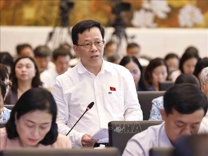 Đại biểu Quốc hội tỉnh Hậu Giang Lê Minh Nam phát biểu. Ảnh: Doãn Tấn - TTXVN