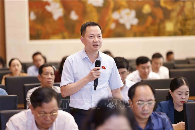 Đại biểu Quốc hội tỉnh Đồng Nai Trịnh Xuân An phát biểu. Ảnh: Doãn Tấn - TTXVN