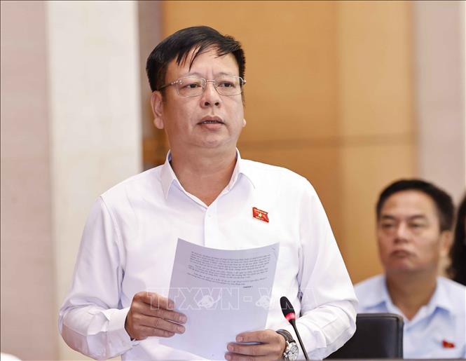 Đại biểu Quốc hội tỉnh Đắk Nông Nguyễn Trường Giang phát biểu. Ảnh: Doãn Tấn - TTXVN