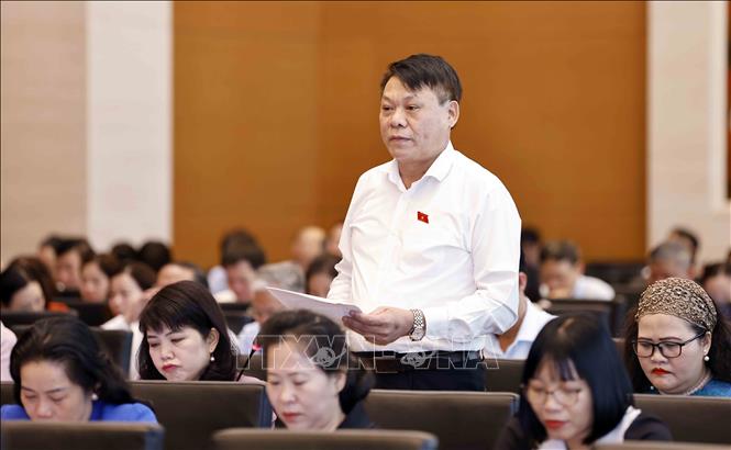 Đại biểu Quốc hội tỉnh Phú Thọ Nguyễn Thành Nam phát biểu. Ảnh: Doãn Tấn - TTXVN