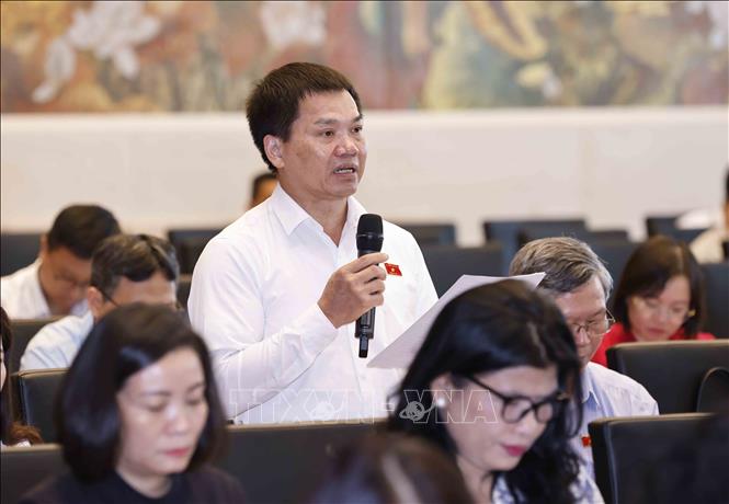 Đại biểu Quốc hội tỉnh Đắk Nông Dương Khắc Mai phát biểu. Ảnh: Doãn Tấn - TTXVN