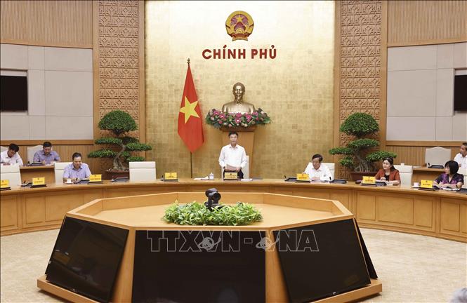 Phó Thủ tướng Lê Thành Long, Chủ tịch Ủy ban Quốc gia về người cao tuổi Việt Nam phát biểu. Ảnh: Doãn Tấn - TTXVN

