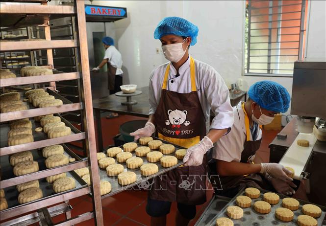 Sản xuất bánh Trung thu ở doanh nghiệp tư nhân Anh Dương, xã Đông Hội. Ảnh: Vũ Sinh - TTXVN
