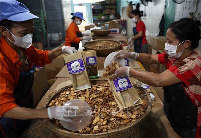 Sản xuất bánh vừng vòng đạt chất lượng sản phẩm OCOP 3 sao của công ty TNHH Hoàng Chiến Thắng, thôn Đông Ngàn, xã Đông Hội. Ảnh: Vũ Sinh - TTXVN