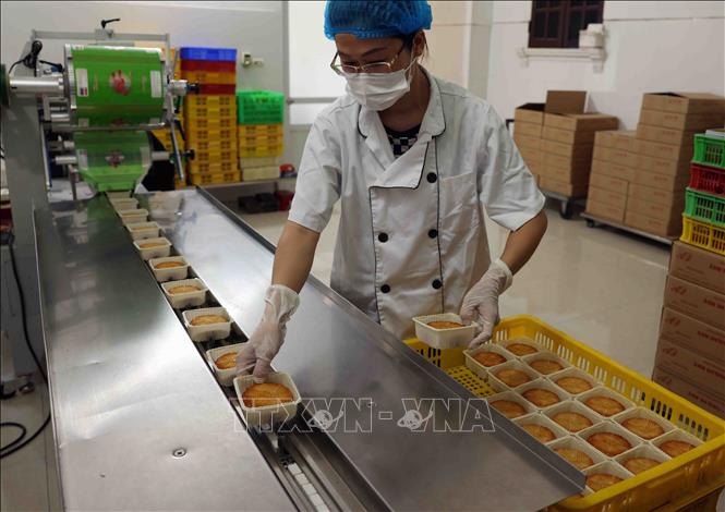 Sản xuất bánh Trung thu ở doanh nghiệp tư nhân Anh Dương, xã Đông Hội (Đông Anh). Ảnh: Vũ Sinh - TTXVN