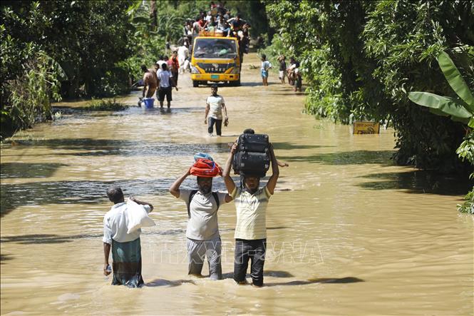 Theo báo cáo của Trung tâm điều phối ứng phó thảm họa quốc gia (NDRCC) thuộc Bộ quản lý và cứu trợ thiên tai Bangladesh, đến nay, lũ lụt tại 11 trong tổng số 64 huyện của nước này đã khiến 23 người thiệt mạng và 5,7 triệu người bị ảnh hưởng. Ảnh: Đường phố chìm trong nước lũ ở Feni, ngày 24/8/2024. Ảnh: THX/TTXVN