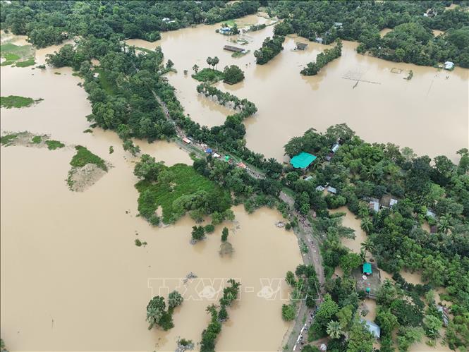 Theo báo cáo của Trung tâm điều phối ứng phó thảm họa quốc gia (NDRCC) thuộc Bộ quản lý và cứu trợ thiên tai Bangladesh, đến nay, lũ lụt tại 11 trong tổng số 64 huyện của nước này đã khiến 23 người thiệt mạng và 5,7 triệu người bị ảnh hưởng. Ảnh: Toàn cảnh thành phố Cumilla chìm trong nước lũ, ngày 23/8/2024. Ảnh: THX/TTXVN