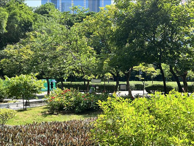 Một góc công viên Cửu Long. Ảnh: Mạc Luyện - PV TTXVN tại Hong Kong