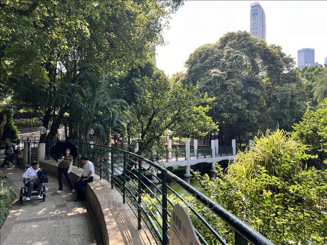 Người dân đi dạo mát trong công viên Cửu Long. Ảnh: Mạc Luyện - PV TTXVN tại Hong Kong