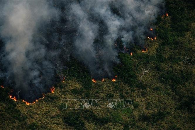 Khói lửa bốc lên từ đám cháy rừng Amazon ở khu vực Porto Velho, bang Rondonia, Brazil. Ảnh: Getty Images/TTXVN