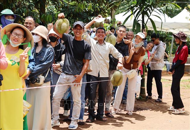 Du khách hào hứng khoe những quả sầu riêng đã mua sau khi đi trải nghiệm, tham quan và thưởng thức tại vườn. Ảnh: Hoài Thu - TTXVN