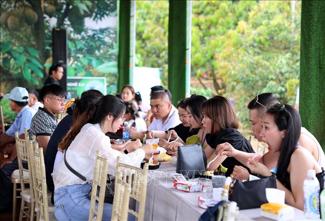 Du khách thưởng thức sầu riêng miễn phí. Ảnh: Hoài Thu - TTXVN