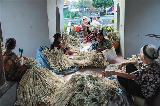 Lá lụi (lá làm nón) được bó lại theo chùm 50 hoặc 100 cành tùy theo chất lượng, giá dao động từ 65.000 - 120.000 đồng/bó, thông thường sẽ đắt nhất vào dịp Hè vì nhu cầu sử dụng tăng cao. Ảnh: Ngọc Liên-TTXVN