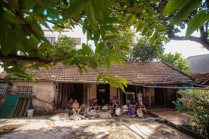 Người dân làng Chuông thường tụ thành nhóm dưới bóng cây xanh mát để tỉ mỉ gia công từng chiếc nón, biểu tượng văn hóa lâu đời và niềm tự hào của làng nghề thủ công nổi tiếng này. Ảnh: Phạm Tuấn Anh-TTXVN
