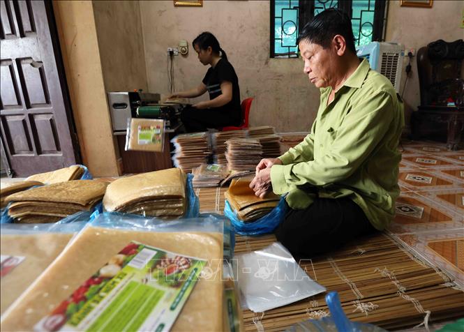 Sản phẩm bánh đa nem của HTX làng nghề bánh đa nem Trung Hà, xã Tiến Thịnh, huyện Mê Linh, đạt chất lượng sản phẩm OCOP 3 sao năm 2023. Ảnh: Vũ Sinh - TTXVN
