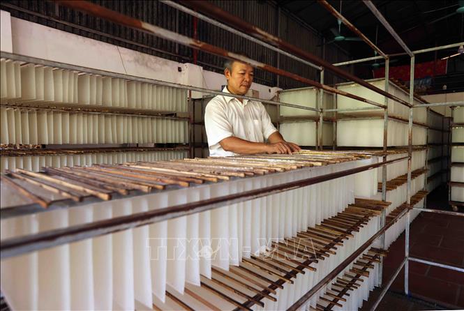 Sản xuất bánh đa nem ở hộ nông dân Đỗ Xuân Tuấn thuộc HTX làng nghề bánh đa nem Trung Hà, xã Tiến Thịnh, huyện Mê Linh. Ảnh: Vũ Sinh - TTXVN