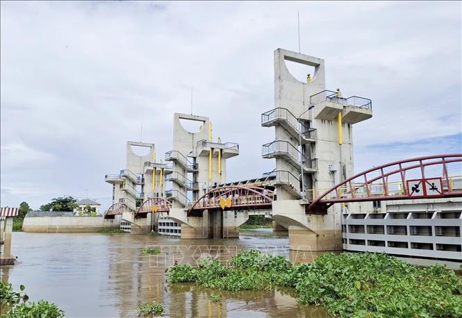 Mở cống Trà Sư điều tiết lũ cho vùng Tứ giác Long Xuyên. Ảnh: Thanh Sang-TTXVN