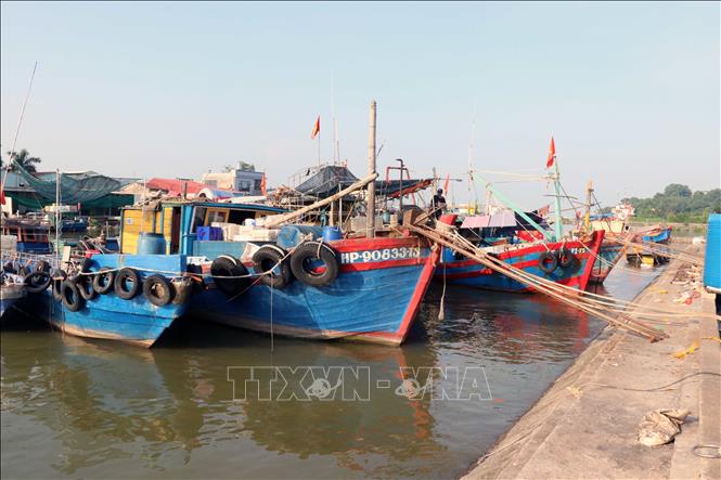 Offshore fishing boats return to anchor in ports in the northern city of Hai Phong. VNA Photo