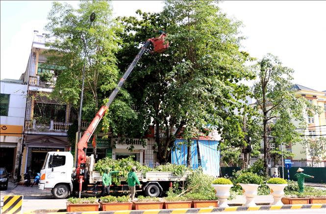 Cutting down branches of trees along streets in the northern province of Thai Binh to prevent impacts of the storm. VNA Photo