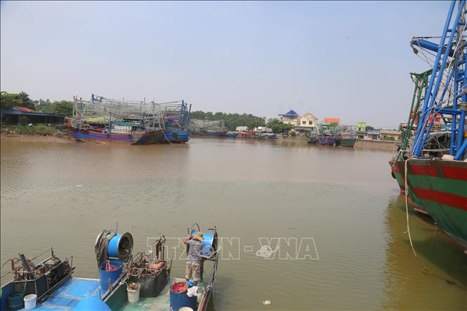 Thuyền đánh cá về tránh bão tại Cảng cá Mắt Rồng. Ảnh: Minh Thu- TTXVN