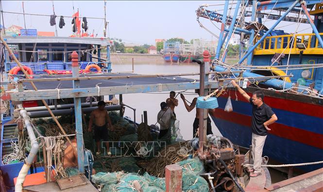 Tàu cá về neo đậu, tránh bão tại Cảng cá Mắt Rồng trong sáng 5/9/2024. Ảnh: Minh Thu- TTXVN