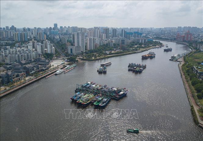 Tàu thuyền neo đậu tránh bão Yagi tại tỉnh Hải Nam, Trung Quốc ngày 4/9/2024. Ảnh: THX/TTXVN