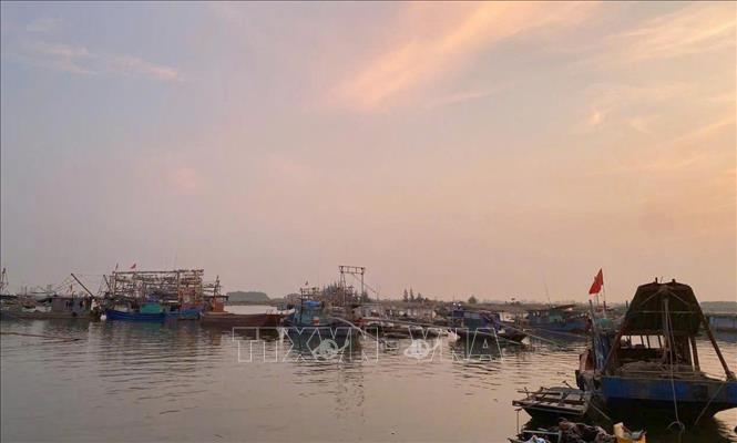 Các tàu thuyền được kêu gọi về tránh trú tại Bến Giang, phường Tân An, thị xã Quảng Yên. Ảnh: TTXVN phát
