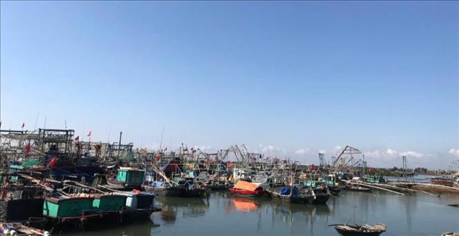 Thị xã Quảng Yên có trên 2.200 tàu, thuyền, phương tiện thủy đã được thông báo tìm nơi tránh trú an toàn trước khi bão đổ bộ. Ảnh: TTXVN phát 