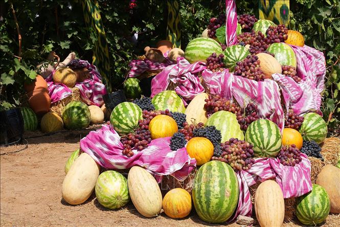 Uzbekistan đã tổ chức Lễ hội nho và sản xuất rượu vang quốc tế tại quận Parkent thuộc vùng Tashkent. Lễ hội bao gồm các hội chợ nông nghiệp, triển lãm của các thương hiệu rượu vang quốc tế và các hội thảo quốc tế về ngành trồng nho. Ảnh: Trái cây địa phương được trưng bày tại lễ hội. Ảnh: THX/TTXVN