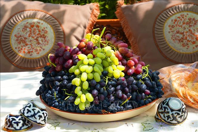 Uzbekistan đã tổ chức Lễ hội nho và sản xuất rượu vang quốc tế tại quận Parkent thuộc vùng Tashkent. Lễ hội bao gồm các hội chợ nông nghiệp, triển lãm của các thương hiệu rượu vang quốc tế và các hội thảo quốc tế về ngành trồng nho. Ảnh: Các loại nho địa phương được trưng bày tại lễ hội. Ảnh: THX/TTXVN