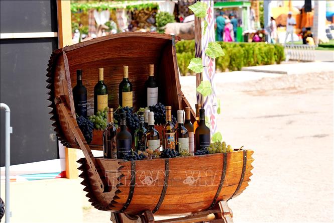 Uzbekistan đã tổ chức Lễ hội nho và sản xuất rượu vang quốc tế tại quận Parkent thuộc vùng Tashkent. Lễ hội bao gồm các hội chợ nông nghiệp, triển lãm của các thương hiệu rượu vang quốc tế và các hội thảo quốc tế về ngành trồng nho. Ảnh: Nho và rượu vang được trưng bày tại lễ hội. Ảnh: THX/TTXVN