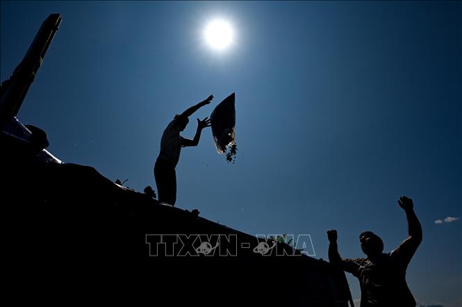 Theo đánh giá ban đầu của Cơ quan theo dõi biến đổi khí hậu Copernicus (C3S) của Liên minh châu Âu (EU), nhiệt độ trung bình trên toàn cầu trong tháng 8/2024 ở mức nóng kỷ lục. Dữ liệu sơ bộ của cơ quan trên cho thấy con số này sẽ cao hơn mức nhiệt trung bình là 16,82 độ C đo được vào tháng 8/2023. Ảnh: Nông dân làm việc dưới trời nắng nóng gay gắt tại Negotino, Bắc Macedonia. THX/TTXVN