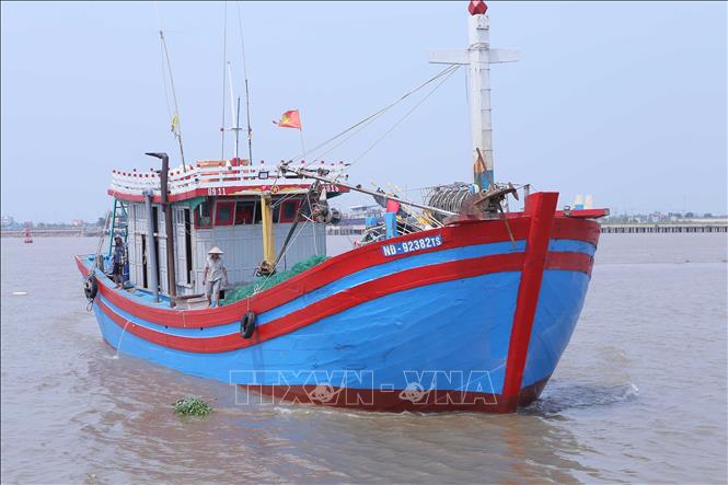 Tàu vào Cảng cá Ninh Cơ ở thị trấn Thịnh Long (Hải Hậu) để tránh bão số 3. Ảnh: Công Luật - TTXVN