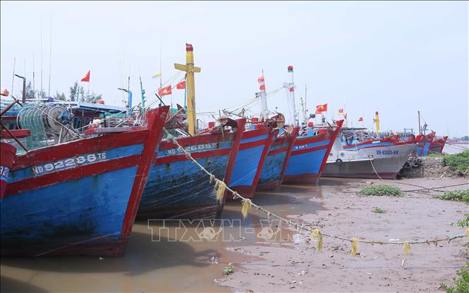  Tàu thuyền đậu tại Cảng cá Ninh Cơ ở thị trấn Thịnh Long (Hải Hậu) để tránh bão số 3. Ảnh: Công Luật - TTXVN