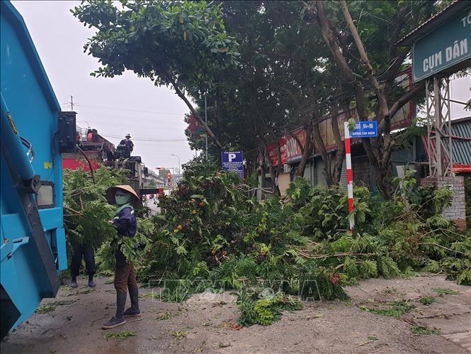 Chủ động cắt tỉa cây xanh phòng chống bão trên đường Tân Xuân. Ảnh: Nguyễn Thắng - TTXVN