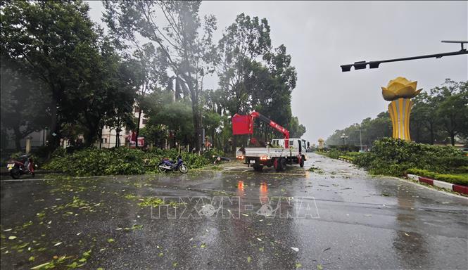 Các lực lượng chức năng đã có mặt ở đường kịp thời thu dọn cây đổ, bảo đảm giao thông an toàn. Ảnh: Thanh Thương- TTXVN 