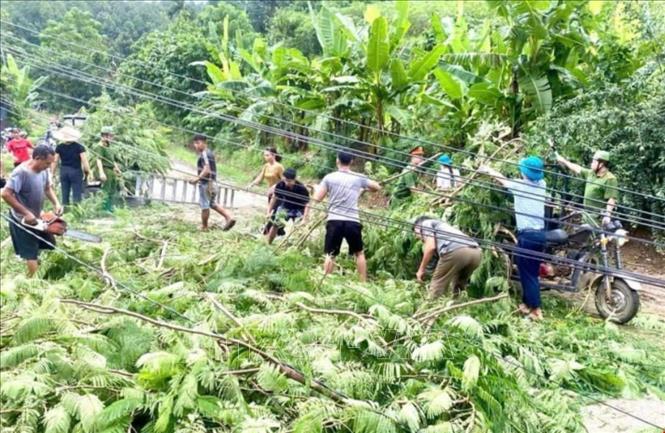 Ban Chỉ huy Phòng chống thiên tai và Tìm kiếm cứu nạn cấp xã, thị trấn huy động lực lượng tại chỗ tham gia thu dọn cây xanh bị đổ gãy trên tuyến đường đảm bảo an toàn giao thông. Ảnh: TTXVN phát
