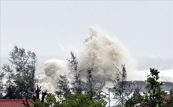 Typhoon Yagi made landfall in Co To island of Quang Ninh province at 13h45. VNA Photo