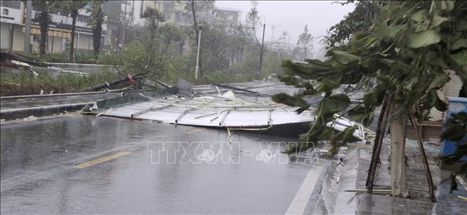Typhoon Yagi makes landfall in Quang Ninh province at 13h45. VNA Photo