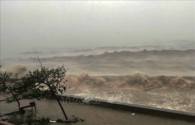 Typhoon Yagi makes landfall in Hai Phong city at 14h, still continuing wrecking and causing widespread power outage. VNA Photo