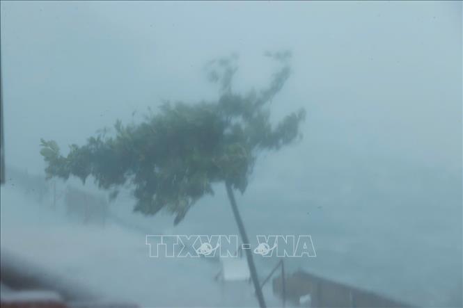 Typhoon Yagi makes landfall in Hai Phong city at 14h, still continuing wrecking and causing widespread power outage. VNA Photo