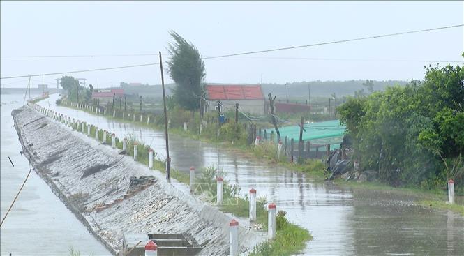 Coastal areas in Kim Son district, Ninh Binh province see waves up to 3-5m, that affect to aquaculture and embankment systems. VNA Photo