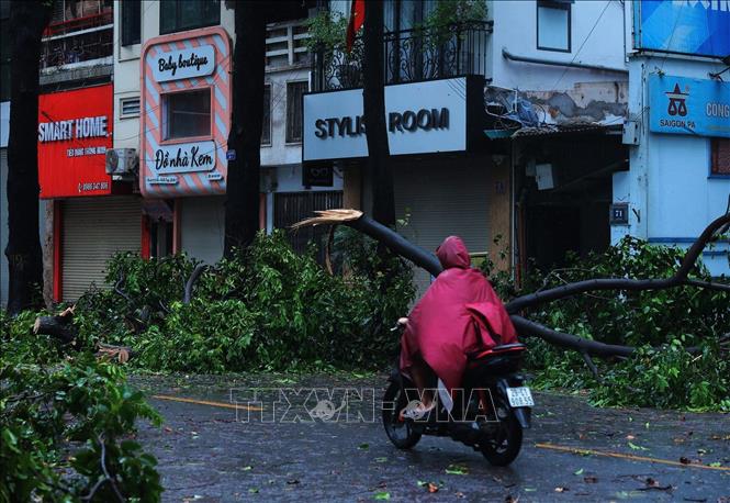 Việc di chuyển ngoài đường trong lúc bão đang đổ bộ tiềm ẩn rất nhiều nguy hiểm, rủi ro. Ảnh: Hoàng Hiếu - TTXVN